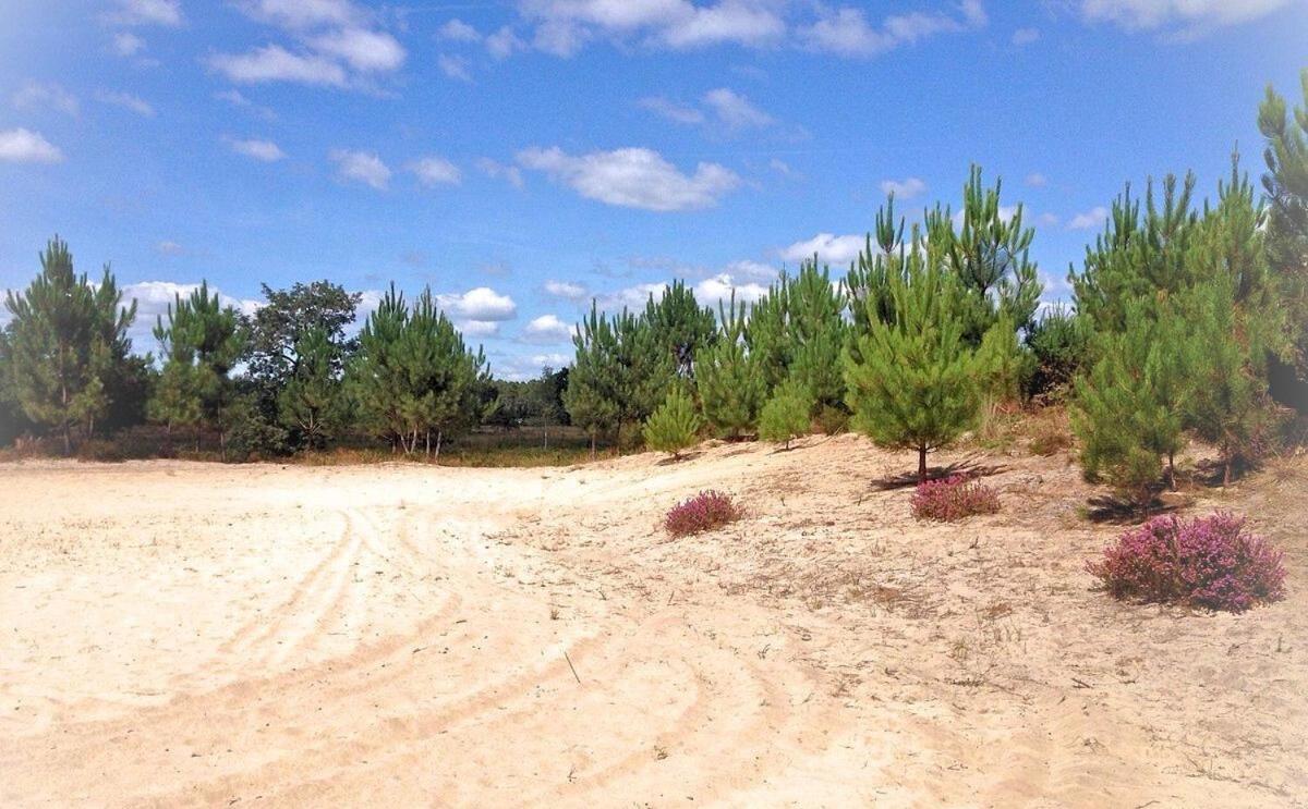 Au P'Tit Creux Des Landes Hotel Ychoux Bagian luar foto